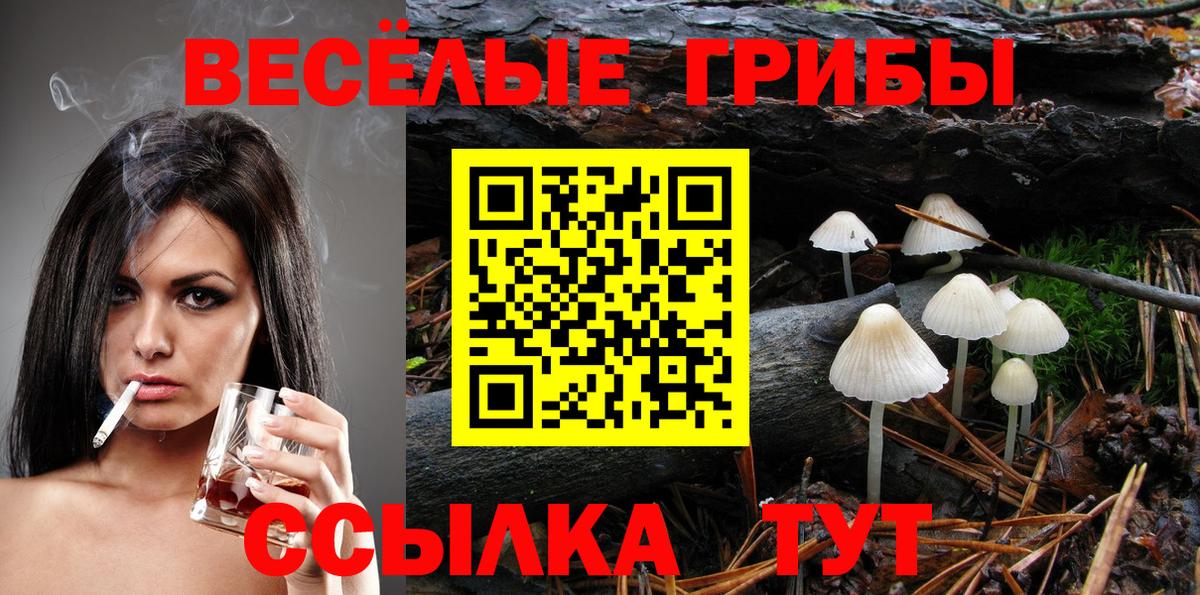 Галлюциногенные грибы MAGIC MUSHROOMS  Вход с VPN  наркошоп  Удомля 