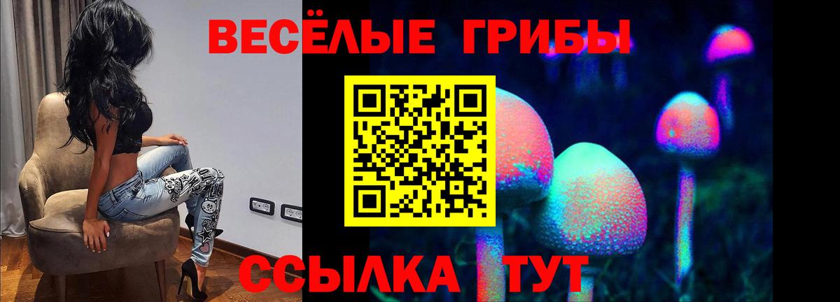 Галлюциногенные грибы мицелий Удомля